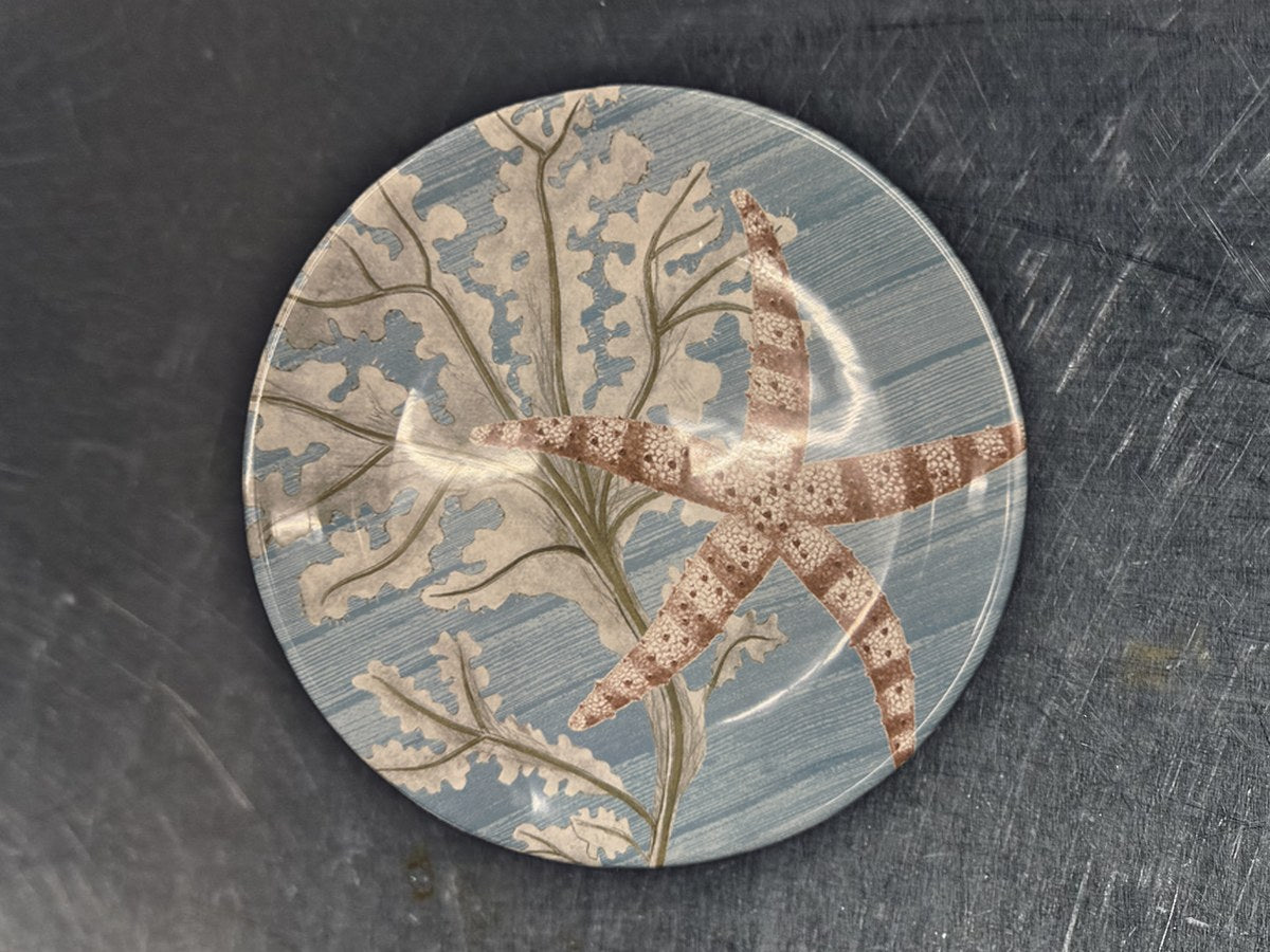 Certified International Round Starfish Dish: 139 ppm lead by XRF