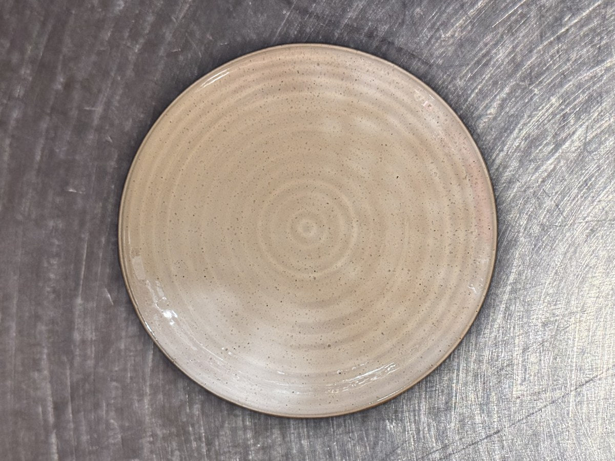 Dwell studio versatile ceramic dish