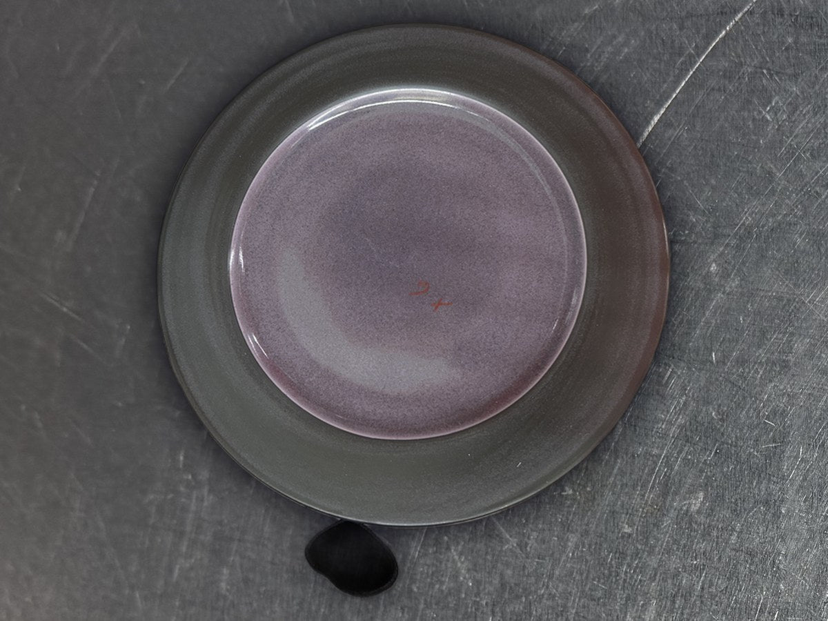Epoch Collection Purpple Zoom Dish: 415 ppm lead by XRF