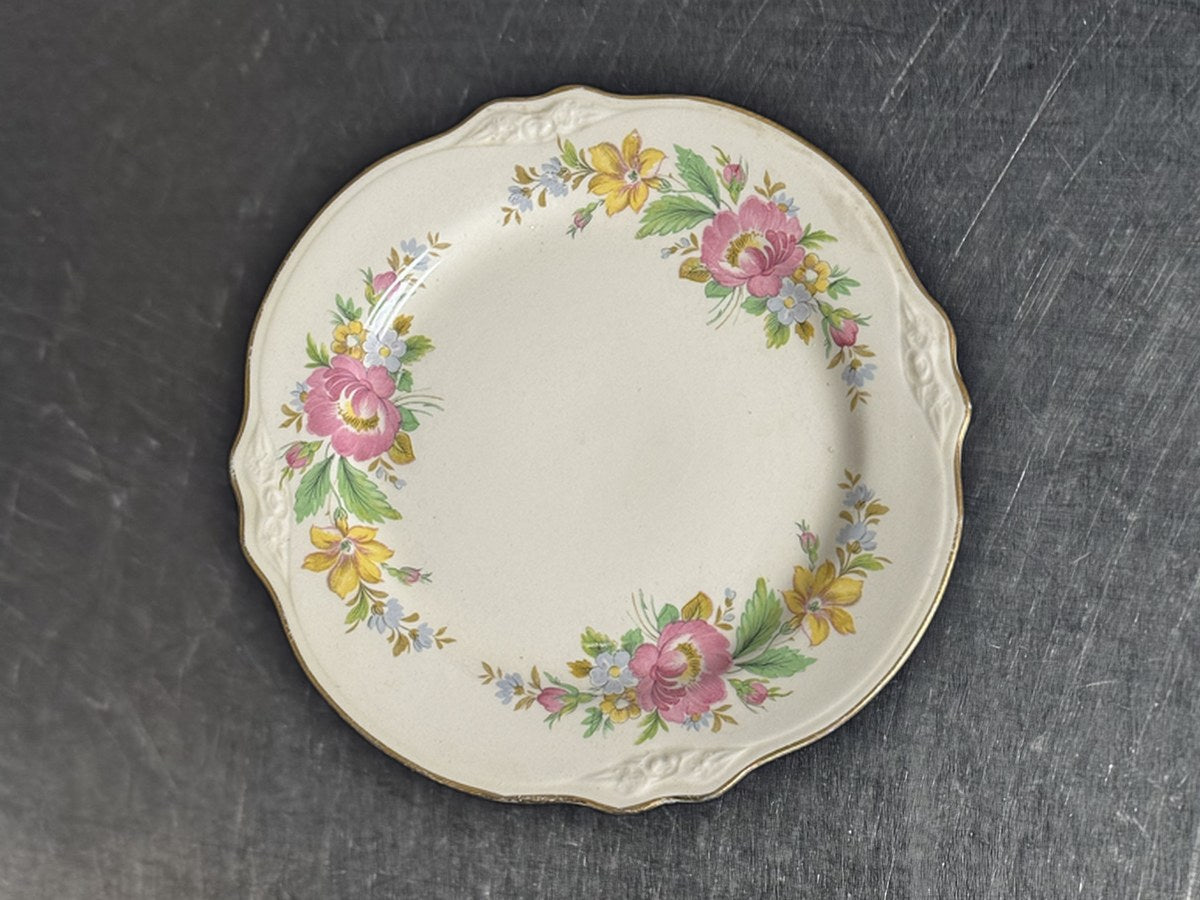 Homer Laughlin dish
