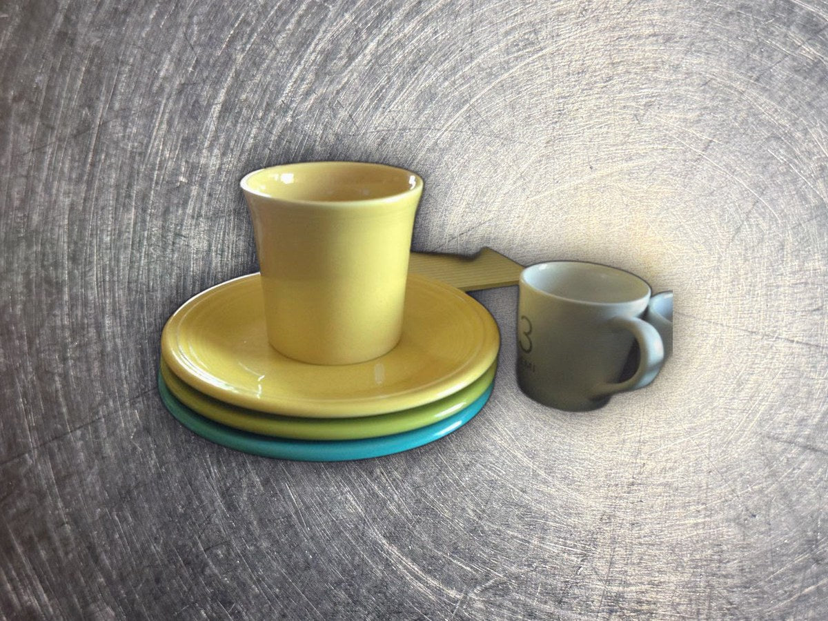 Newer Fiestaware Mug and Saucer