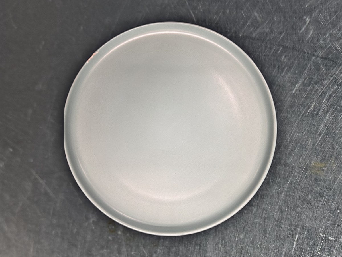 Mainstays White Gray Ceramic Dinner Plate: 261 ppm lead by XRF
