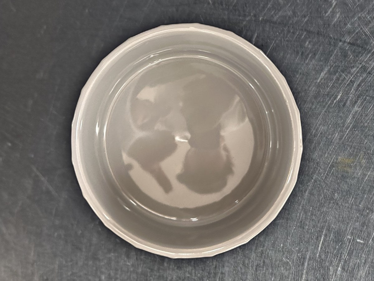 Sonoma White Pet Feeding Bowl: 1,140 ppm lead by XRF