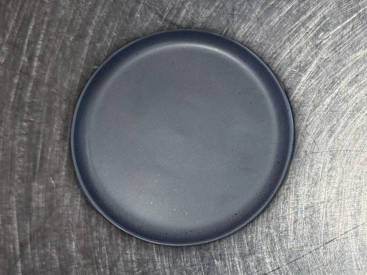 Threshold tilley navy dish