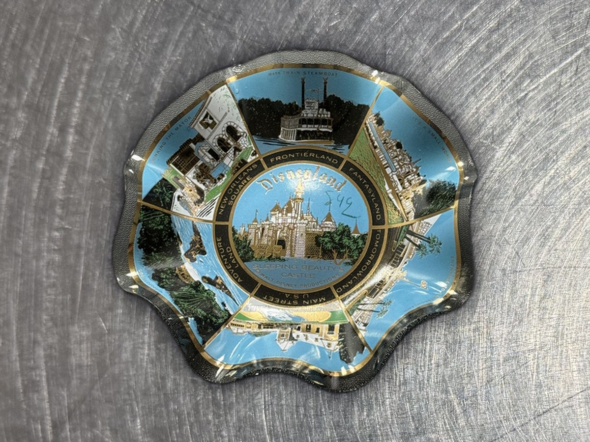 Walt Disney World Disneyland dish